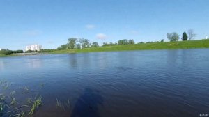 Ловля плотвы на пшеницу в городской черте. Река Днепр.