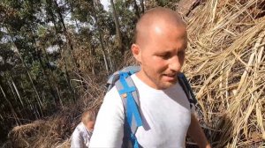 ДИКИЕ СЛОНЫ на ШРИ-ЛАНКЕ. Трекинг на ЭЛЛУ-РОК. ЭЛЛА. #шриланка