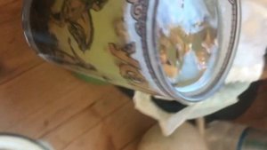 Обзор на Гриб Агарик. Заготовление Панацеи для Всего