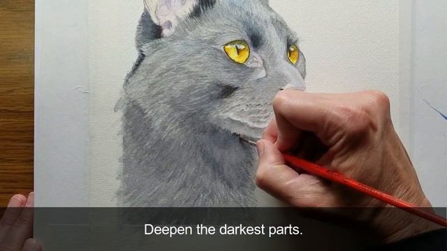 How to Paint a Realistic Black Cat in Watercolor, Course Preview смотреть онлайн