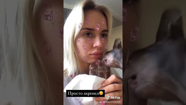 Когда кот гнида или братская шоколадка?😂 #Топ#мойкот#сфинкс#толябля