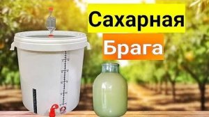 САХАРНАЯ БРАГА по очень простому рецепту. Легкий метод приготовления Браги.