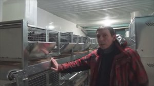 ОБЗОР КЛЕТКИ ДЛЯ КУР _КОМФОРТ_ - CRAZY ФЕРМА