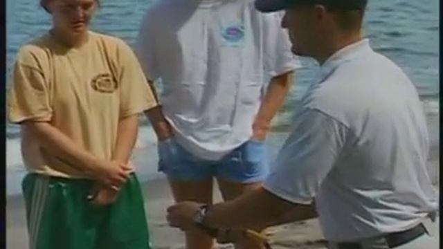 6 Урок Дайвинга смотреть онлайн