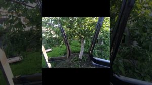 Реставрация и тюнинг грузовика Nissan Atlas 1993 года.