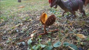 Динозавр в нашем мире. Дилофозавр в городе. Мультики для детей.