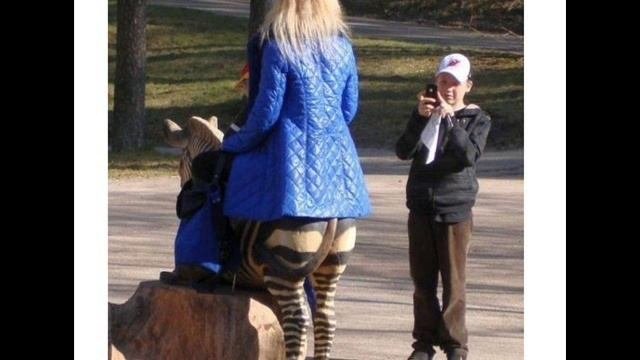 Прикольная мелодия и прикольные картинки