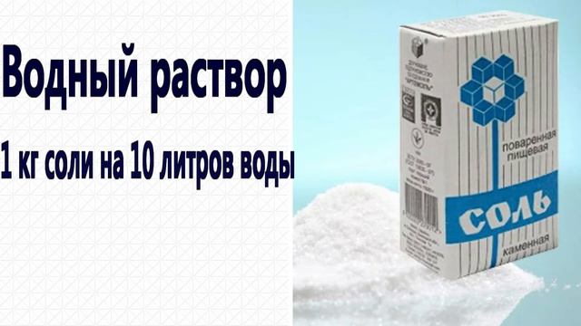 ТОП 10 СПОСОБОВ БОРЬБЫ С СОРНЯКАМИ