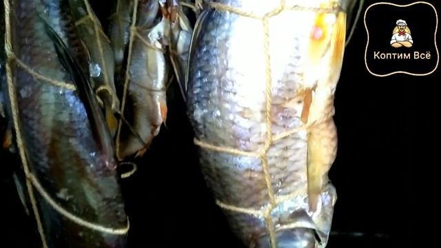 ?Как коптить лещя?горячий способ копчения белой рыбы.
