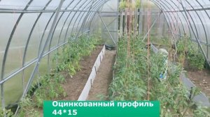 Теплица "Дачная-Эко" 13 лет на дачном участке в подмосковной Дубне