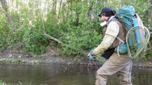 РУЧЬЕВАЯ ФОРЕЛЬ на СПИННИНГ Как поймать Секреты ловли - Рыбалка в Ленинградской области