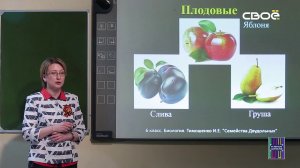 Биология для 6 класса. Семейства растений класса Двудольные