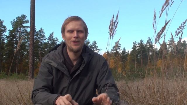 Про "дикий" туризм в Норвегии