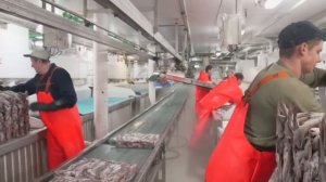 Механик Ковтун