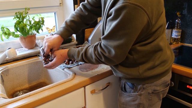 Esskastanien zubereiten/как приготовить каштаны?/Prepare the sweet chestnuts смотреть онлайн