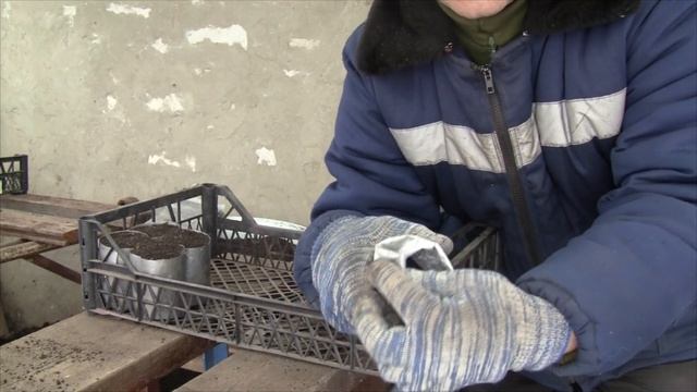 Пластиковые стаканчики для рассады, своими руками(часть 2),наполняем грунтом. смотреть онлайн