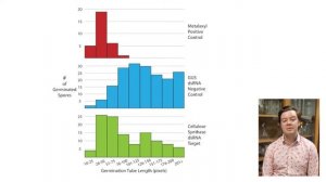 Bye-Bye Fungicides, Hello RNAi: Understanding RNAi Uptake Paths and Controlling Oomycetes with RNAi