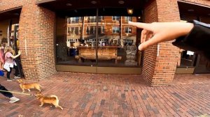 ГУЛЯЕМ ПО ГОРОДУ ВЕДЬМ, В АМЕРИКЕ! ГОРОД США, ГДЕ ВСЕГДА ХЭЛЛОУВИН! САЛЕМ!!! Первая Часть!