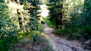 Тарусь мотовездеход 2*2