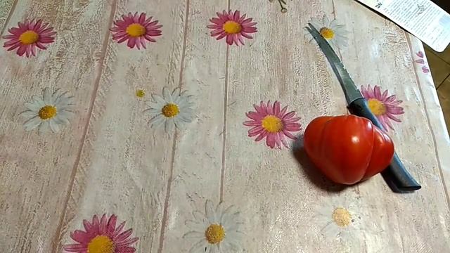 Дегустация : томат эм-чемпион смотреть онлайн