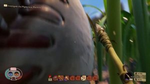 Grounded обзор! Grounded гайд! Как выполнить начальные квесты grounded! Граундед игра обзор!