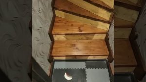 Покраска лестницы шаг за шагом