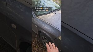 Проблема с тормозами Nissan Wingroad