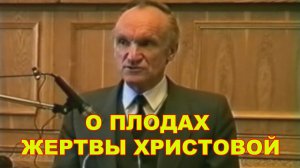 О плодах Жертвы Христовой.  профессор Осипов А.И.