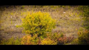 Усть-Кут - Курорт, река Кута (Осень 2017 год)