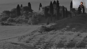 Unit 3: AP Italian Language and Culture Faculty Lecture with Lecturer Antonietta De Pietro