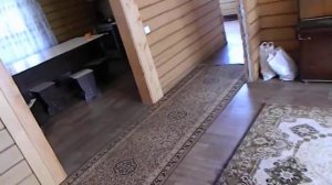 Продам дом в Усть-Кабырзе