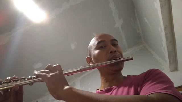 Yamaha Flute YFL 222 made in Indonesia - after servis with @HW_repairs смотреть онлайн