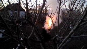 Как спасти фруктовые деревья от заморозков