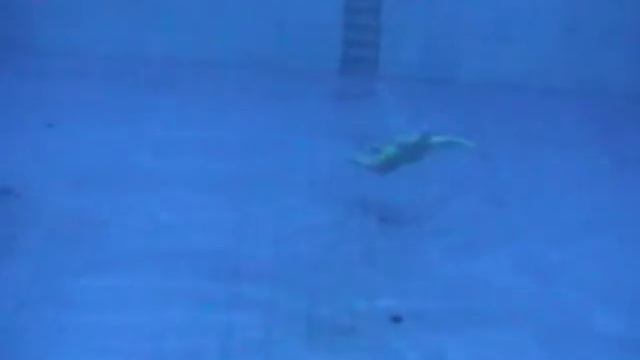 Олимпийский бассейн смотреть онлайн