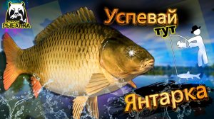 RF4 ЕЛЕ УСПЕВАЛ ВЫТЯГИВАТЬ НА РАЗДАЧЕ ТРОФЕЕВ #рр4