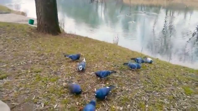 Свежий воздух всем нужен и полезен, очень весело гулять нам и никаких болезней! Особенная Леночка. смотреть онлайн