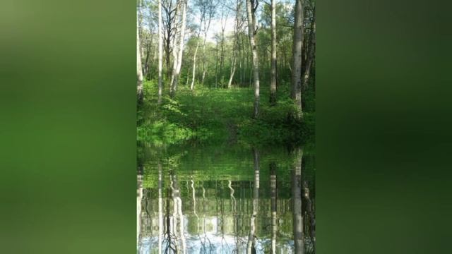 ПЕРЕД СМЕРТЬЮ ОБОЛЬÉТСЯ КРОВЬЮ.. БЛАЖЕННАЯ ЮРОДИВАЯ ЗИНАИДА