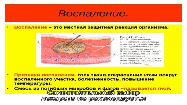 Как избавиться от болячек в носу смотреть онлайн
