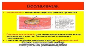 Как избавиться от болячек в носу