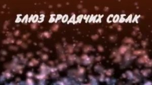 Обзор на диск Мега-караоке: Шлягеры / 2006 / DVD-5