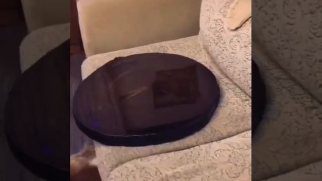 Журнальный столик из спила мореного дуба