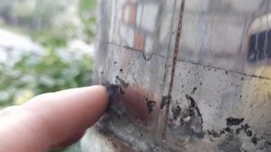 Печная труба и герметик  какой выбрать . Опыт спустя год.