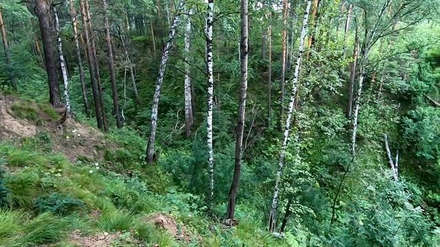 Ботанический сад. Новосибирск смотреть онлайн