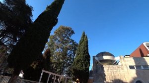 Шведский стол в санатории ЮЖНОЕ ВЗМОРЬЕ/Открытый бассейн/Пляж санатория/Море