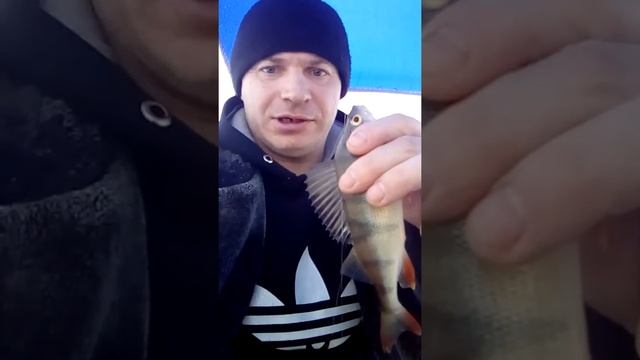 Рыбалка Челябинск 1 озеро