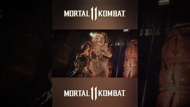 Mortal Kombat 11.Ночной Волк.Фаталити.Fatality.Sony PlayStation 5.PS5.🎮