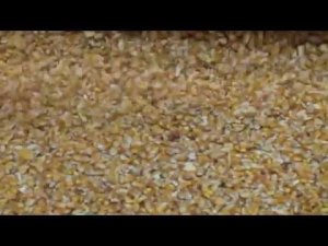 Удаление влаги/сушка гороха