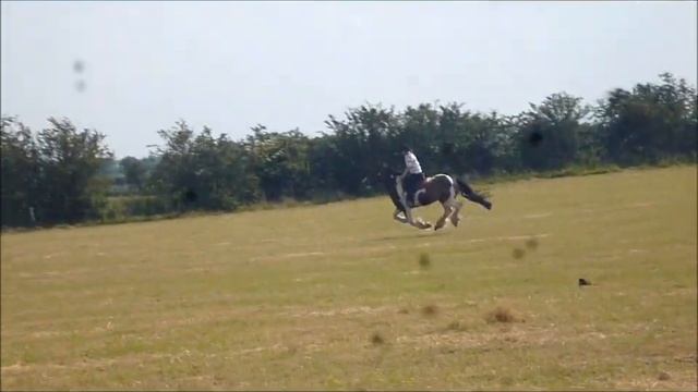 Can't beat them join them!!! смотреть онлайн