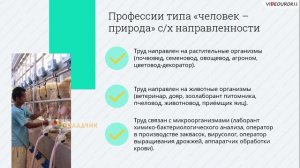 05  Классификация профессий  Человек   природа