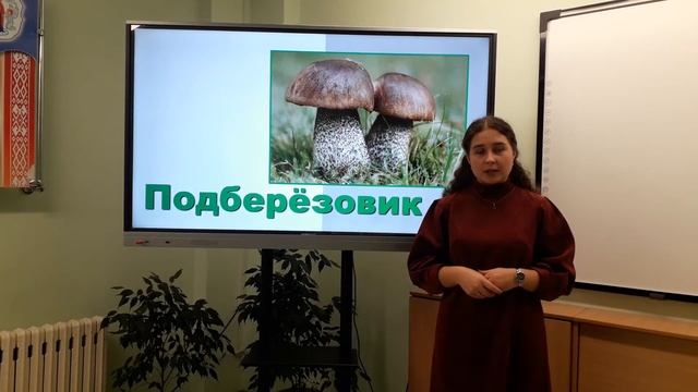 Урок по предмету "Человек и мир". 2 класс. Съедобные и несъедобные грибы смотреть онлайн